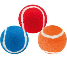 Pelota