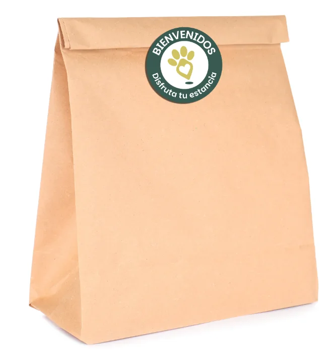 Bolsa de Papel Kraft para Kits de Bienvenida