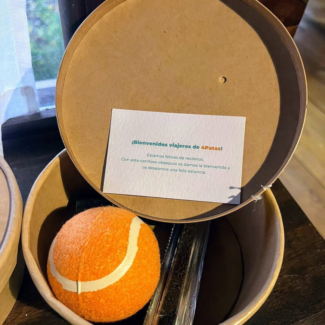 Kit de bienvenida con tarjeta de Viajes 4Patas